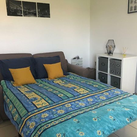 Appartement Au Milieu Des Lacs, Au Bord Du Guiers Aoste Exterior foto